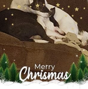 Meet your Posher, Debra